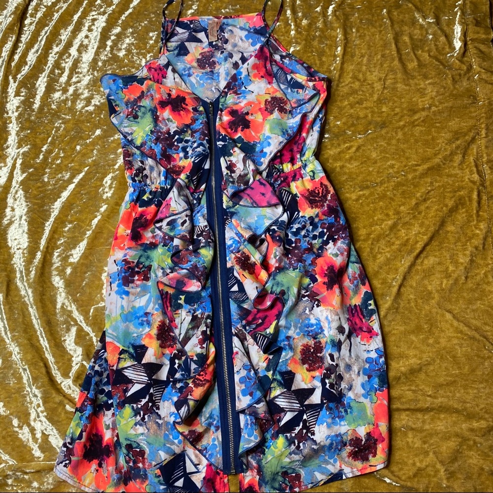 Floral Zip Ruffle Francesca’s Dress